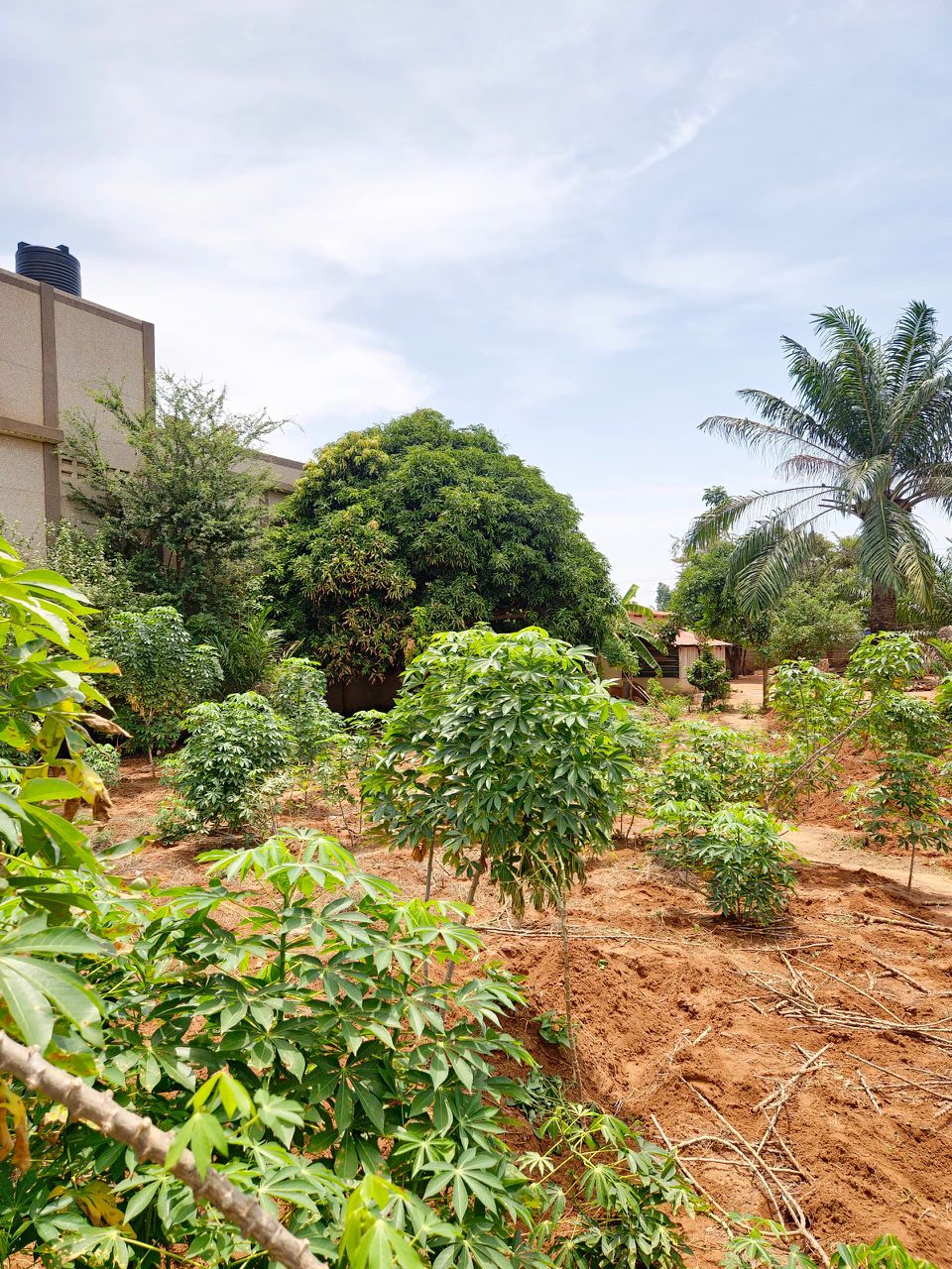 Terrain de 680 m² en vente à Adidogomé Apédokoè – 35 millions FCFA