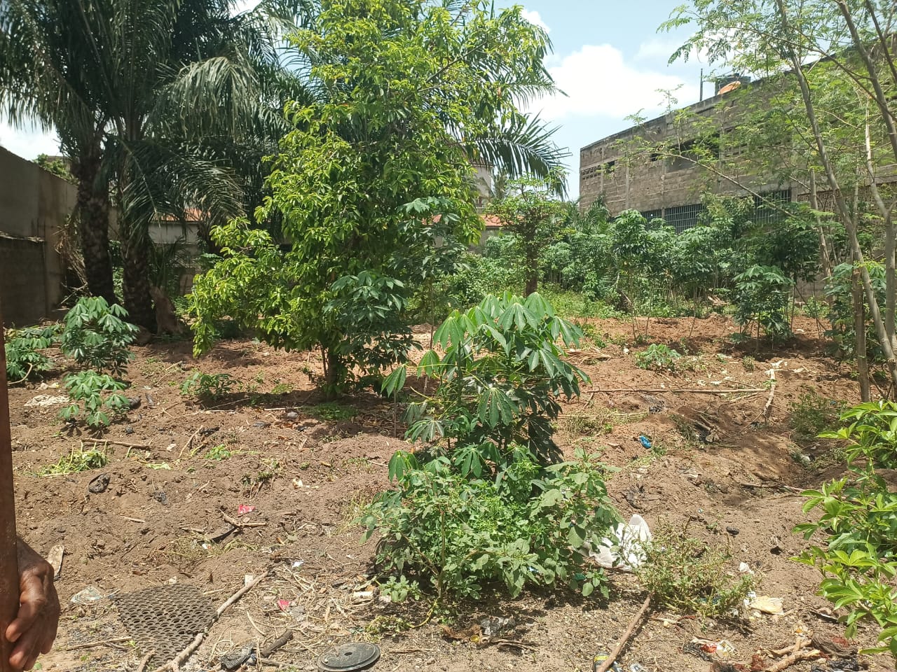 Terrain de 600 m² en vente à Avedji Margo – 30 millions FCFA