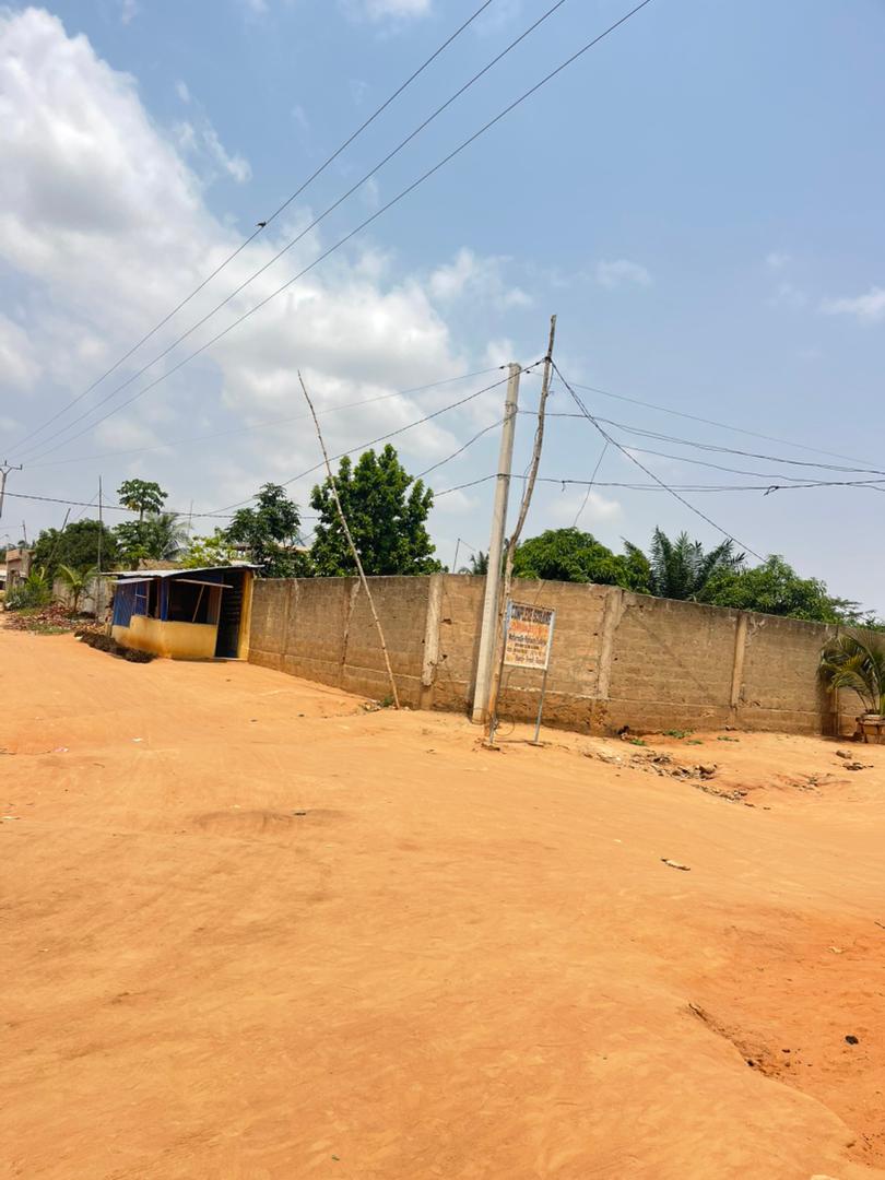 Terrain de 300 m² en vente à Zanguera – 10 millions FCFA
