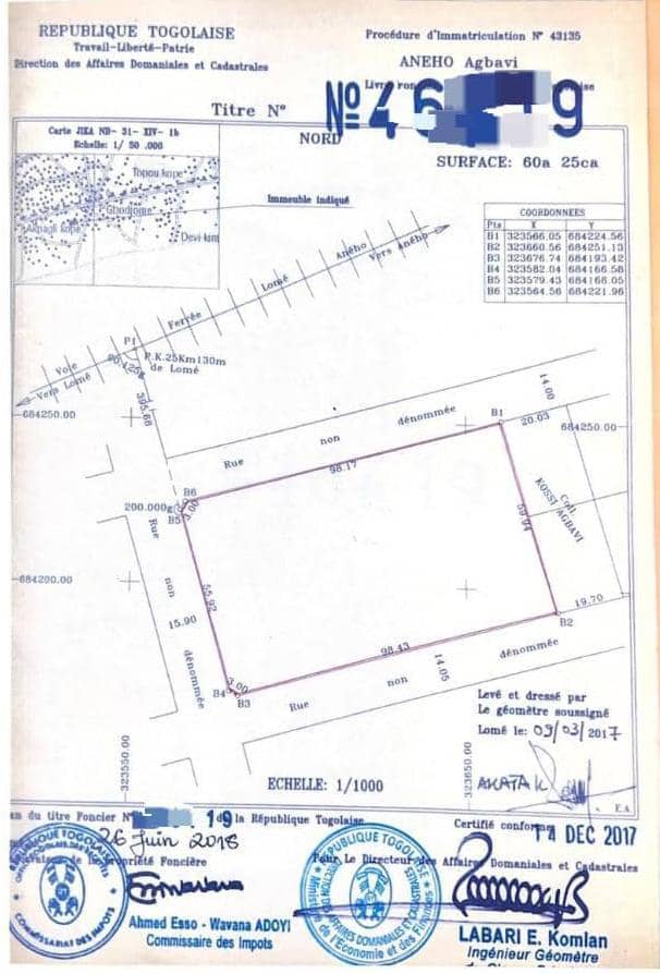 Terrain de 6025 m² en vente à Agbavi – 180 millions FCFA