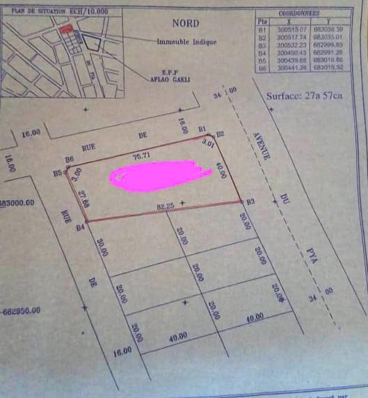 4 lots et demi en vente au bord du goudron à Djidjolé Adidoadin – 450 millions FCFA
