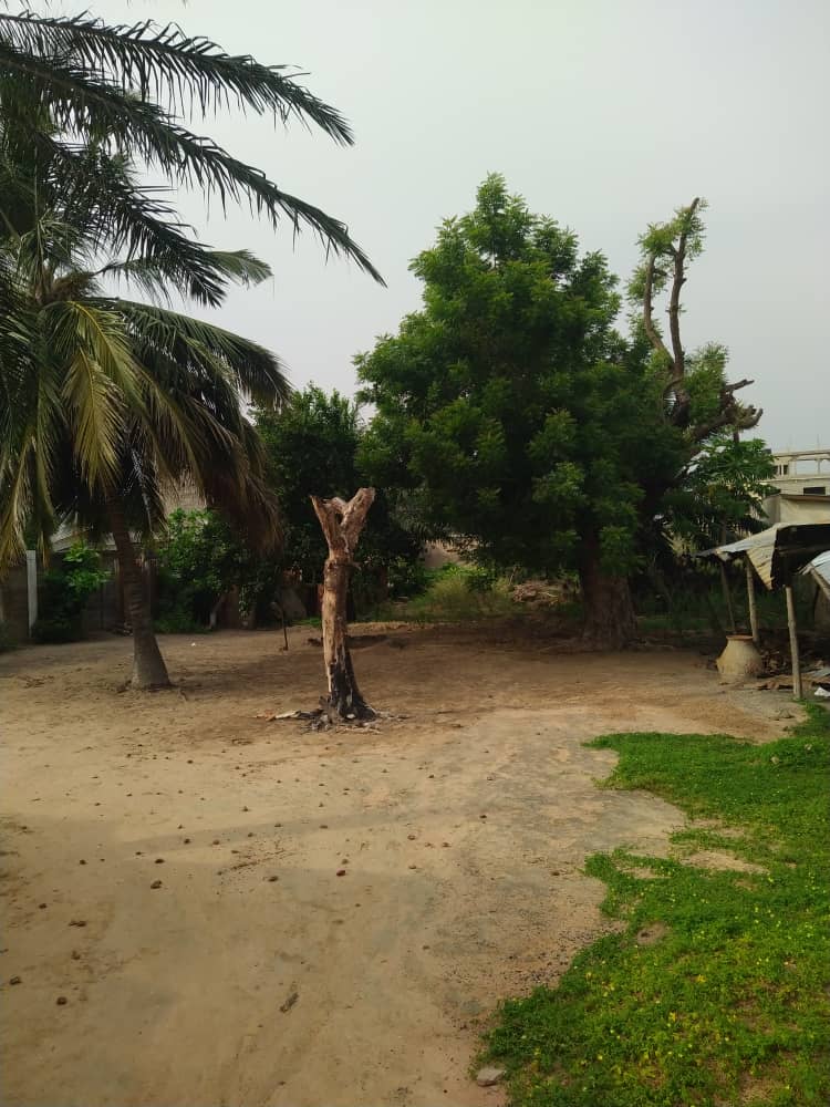 Terrain de 800 m² en vente à Agbalepedo – 70 millions FCFA