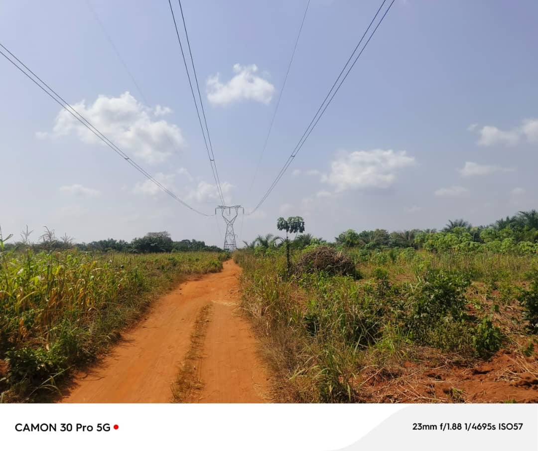 100 LOTS À VENDRE À NOÈPÉ – 10 HECTARES DÉJÀ LOTIS – À 400M DU GOUDRON LOMÉ-KPALIMÉ RN5 – TITRE FONCIER