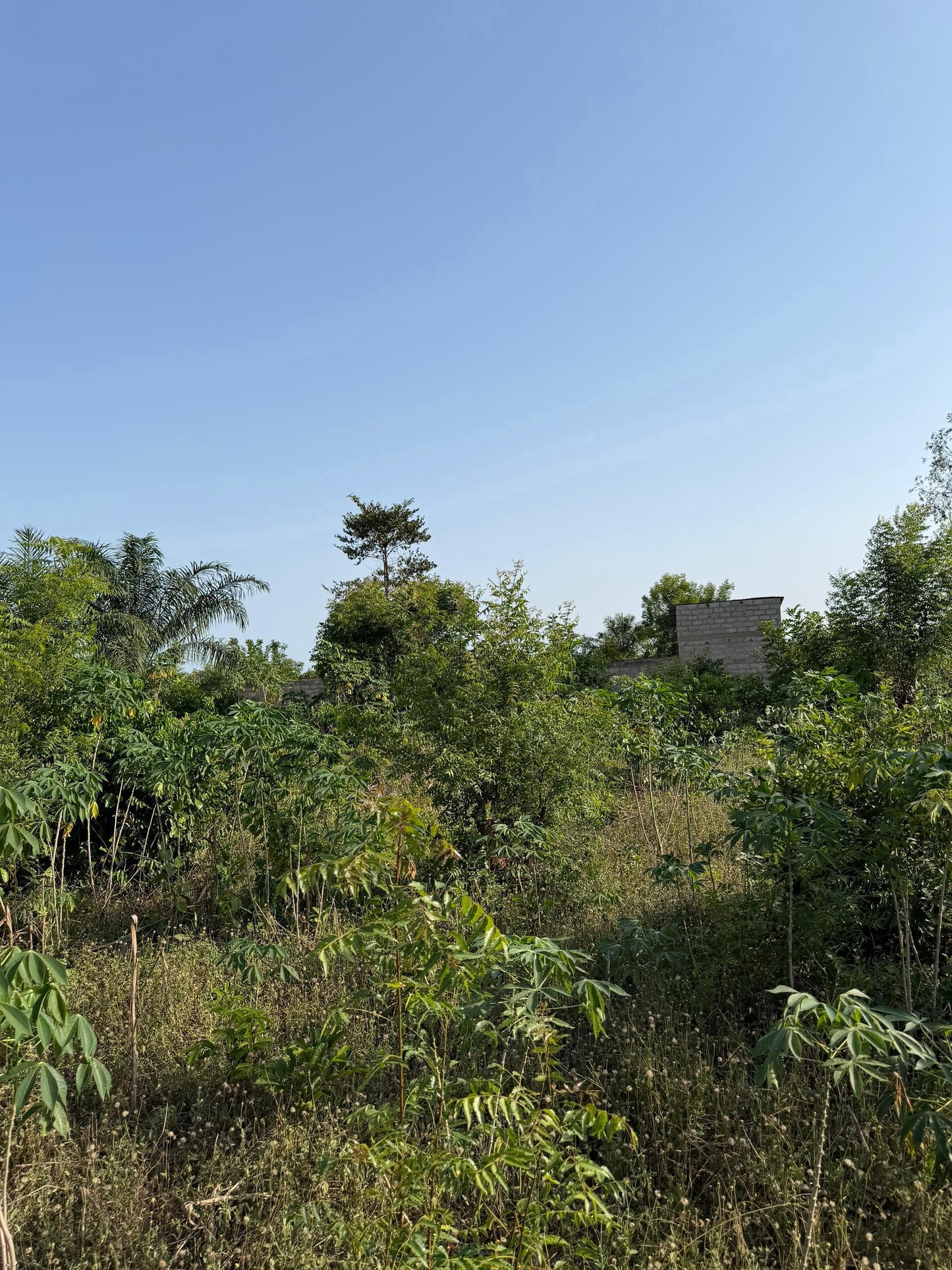 Terrain de 1 lot en vente à Noepé – 13 millions FCFA le lot