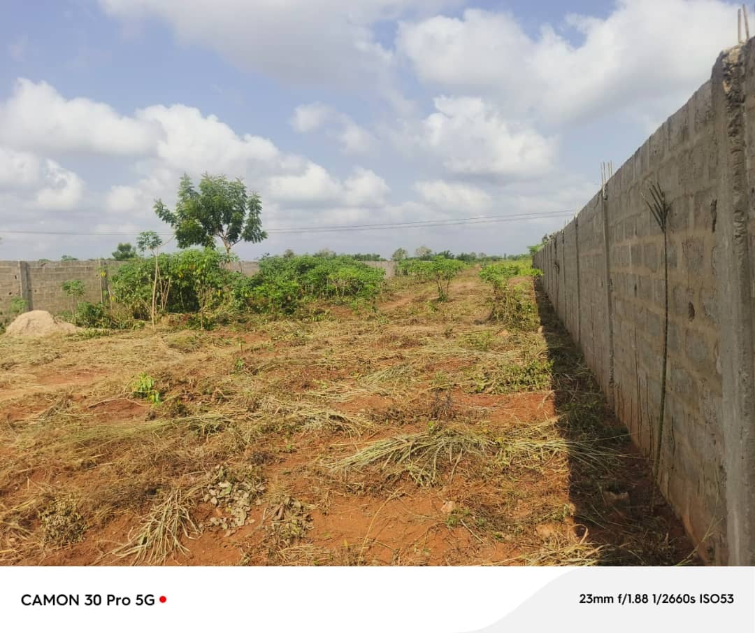 100 LOTS À VENDRE À NOÈPÉ – 10 HECTARES DÉJÀ LOTIS – À 400M DU GOUDRON LOMÉ-KPALIMÉ RN5 – TITRE FONCIER