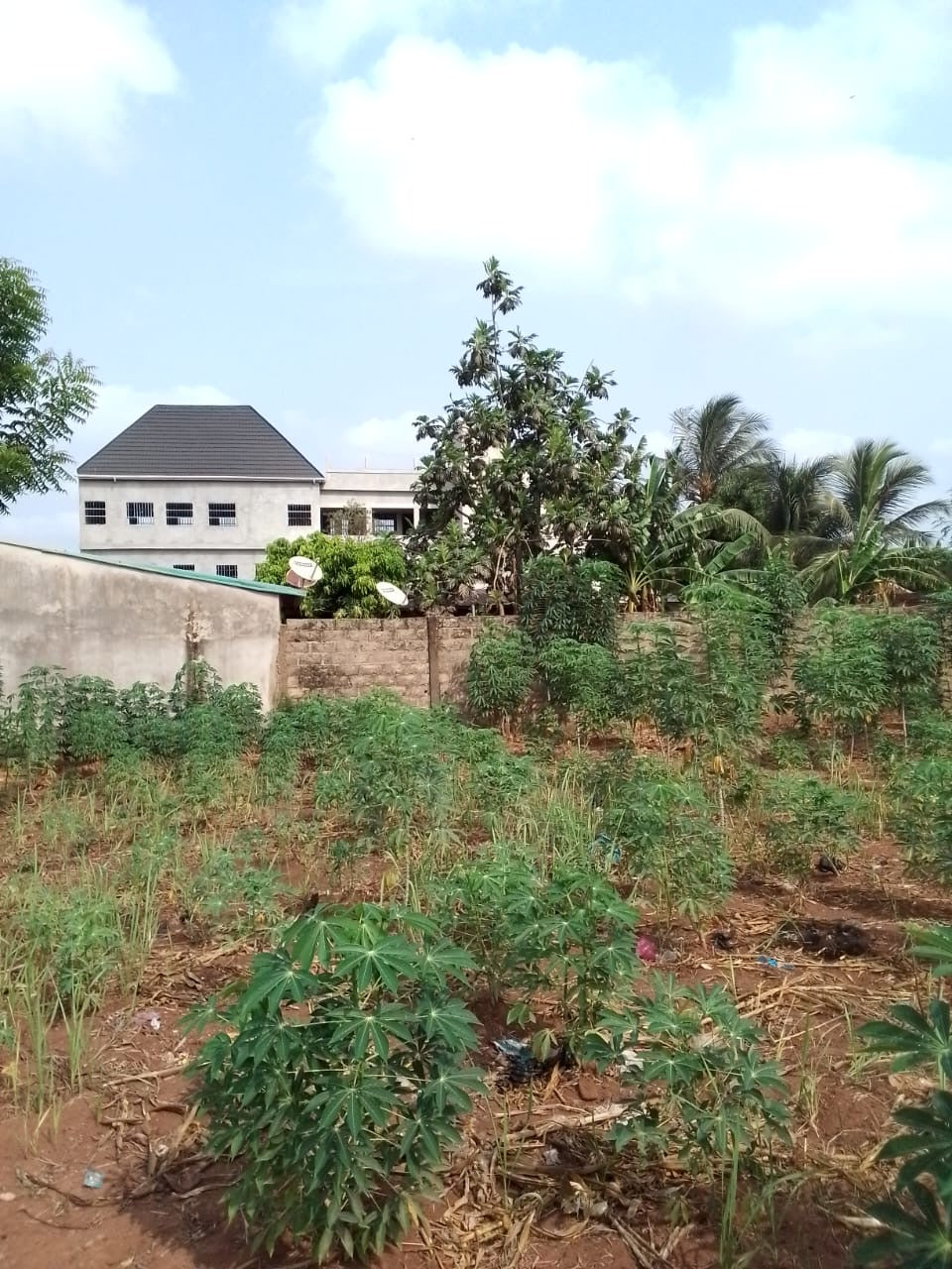 TERRAIN D’1 LOT + 1/4 À VENDRE À LEGBASSITO BOKPOKO – 800M DU CONTOURNEMENT