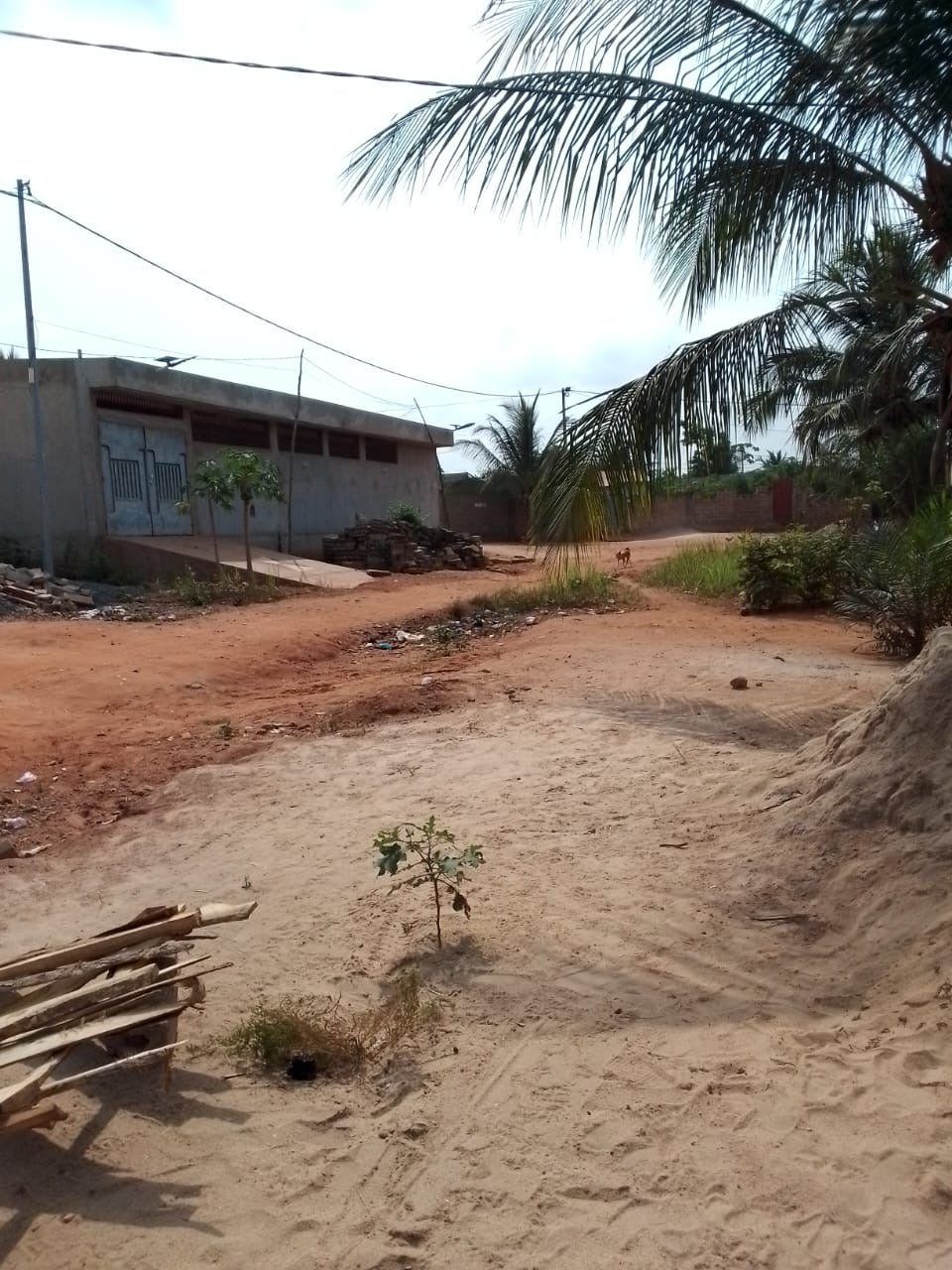 TERRAIN D’1 LOT + 1/4 À VENDRE À LEGBASSITO BOKPOKO – 800M DU CONTOURNEMENT