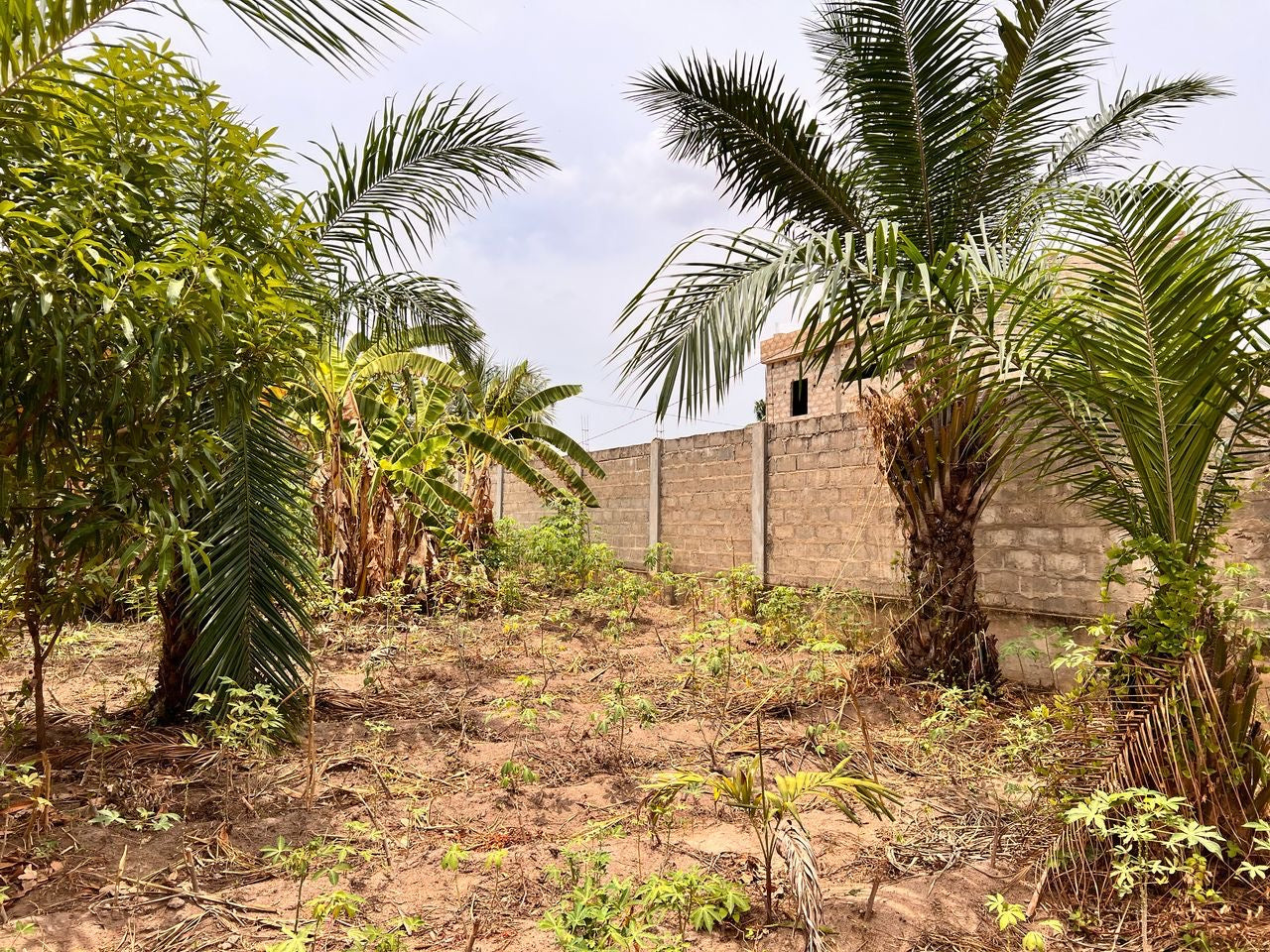 2 LOTS CLÔTURÉS À VENDRE À ADÉTIKOPÉ – CARREFOUR WEEL CITY – 500M DU GOUDRON – TITRE FONCIER – 30 MILLIONS LE TOUT