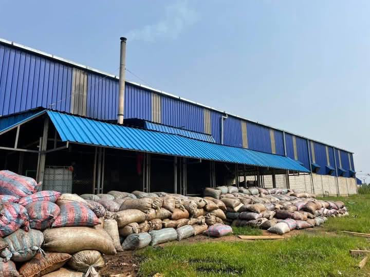 USINE DE TRANSFORMATION D’ACAJOU À VENDRE EN CÔTE D’IVOIRE – OPPORTUNITÉ D’AFFAIRE
