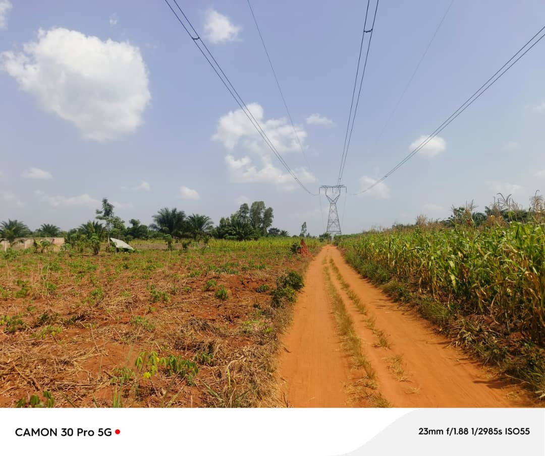 100 LOTS À VENDRE À NOÈPÉ – 10 HECTARES DÉJÀ LOTIS – À 400M DU GOUDRON LOMÉ-KPALIMÉ RN5 – TITRE FONCIER
