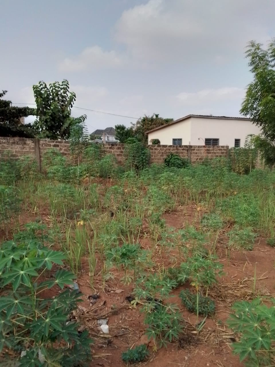 TERRAIN D’1 LOT + 1/4 À VENDRE À LEGBASSITO BOKPOKO – 800M DU CONTOURNEMENT