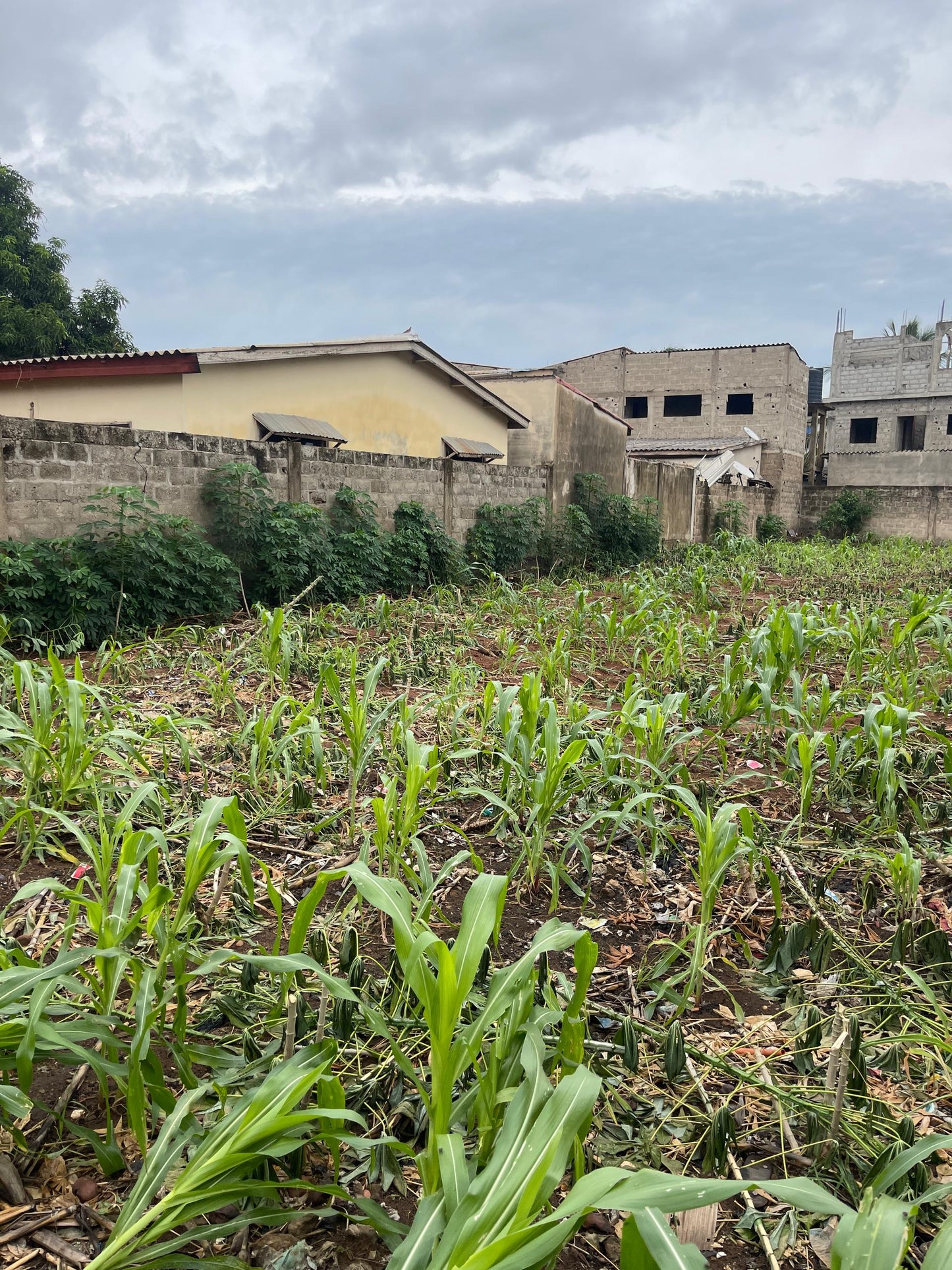 TERRAIN D’UN LOT (600 M²) À VENDRE À ZANGUERA ATILAMONOU – 200M DU GOUDRON – 22 MILLIONS