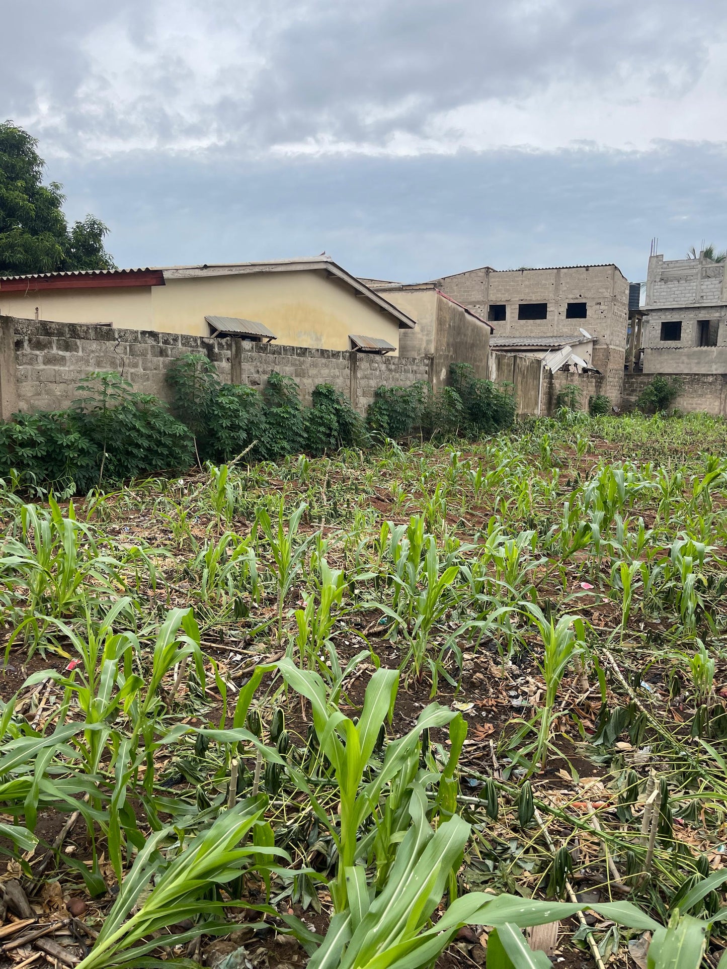 TERRAIN D’UN LOT (600 M²) À VENDRE À ZANGUERA ATILAMONOU – 200M DU GOUDRON – 22 MILLIONS