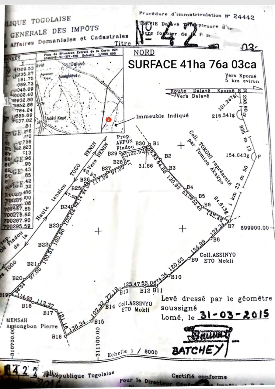 Terrain de 24000 m² en vente à Dalavé Totokpoé – 40 millions FCFA l'hectare