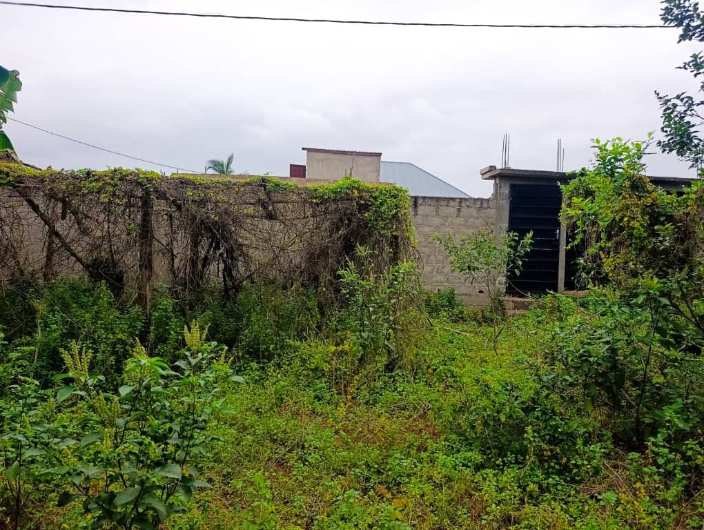 Terrain 1/2 lot en vente à Agoè Sogbossito – 17 000 000 FCFA