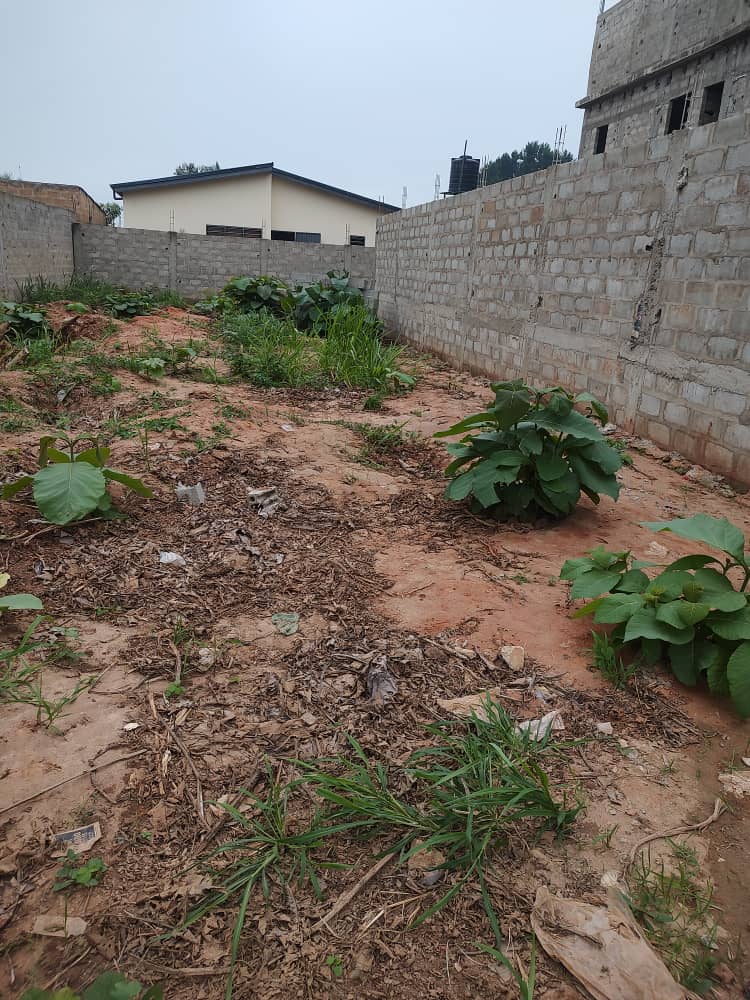 Terrain de 300 m² en vente à Segbé proche du goudron – 10 millions FCFA