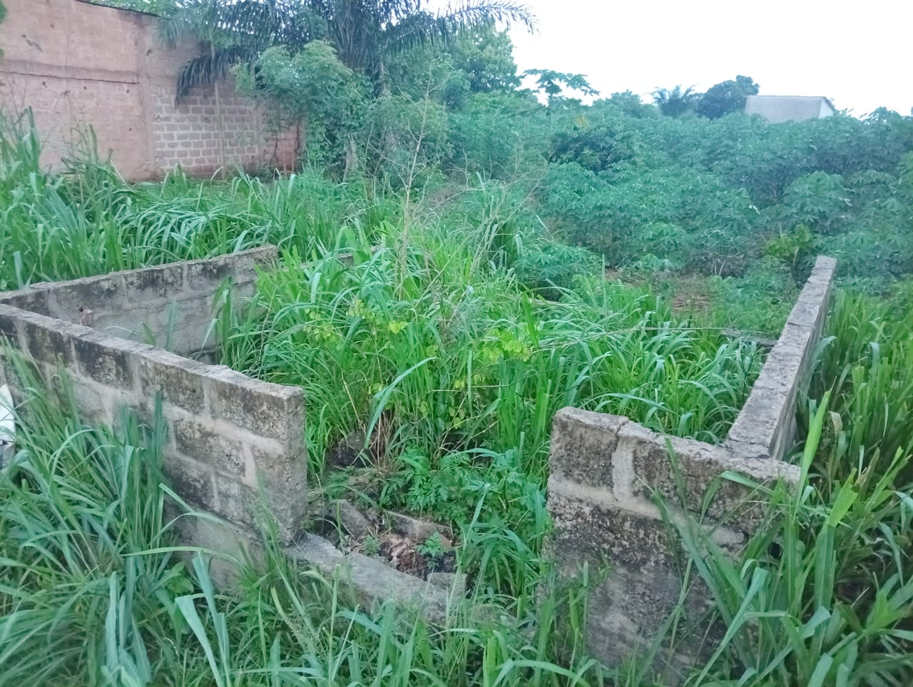 Terrain nu à Akepedo Agban Yéyé Tchoin – 15 millions FCFA