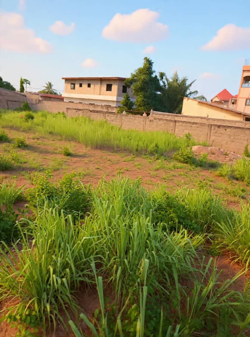 Terrain en vente à Adidogomé – 55 millions FCFA