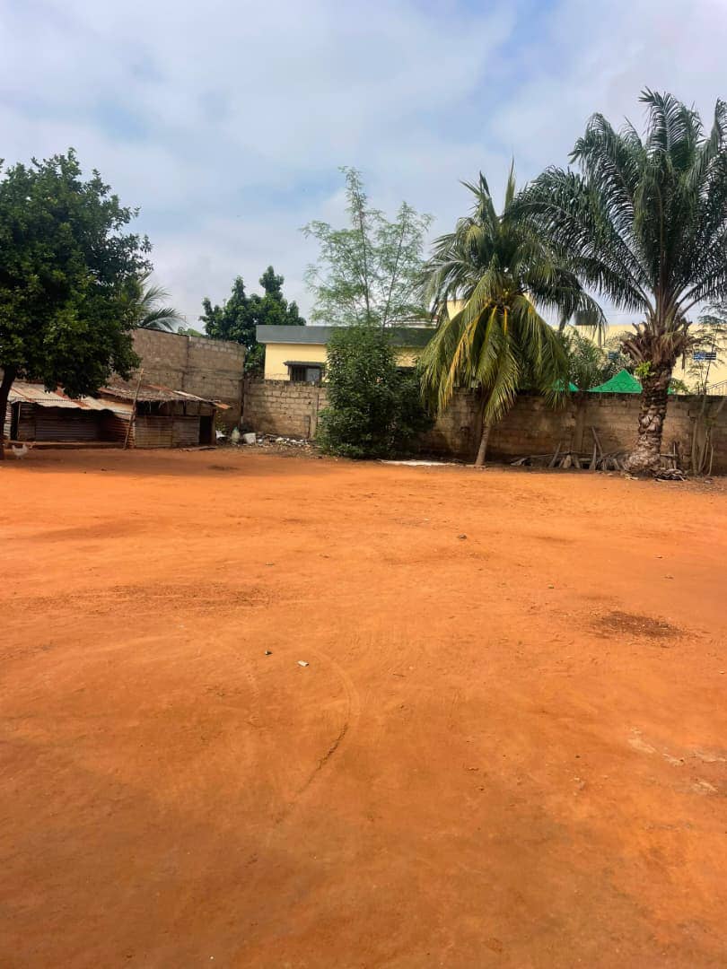 Terrain de 601 m² en vente à Adidoadin, proche du goudron – 75 millions FCFA