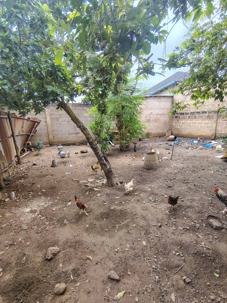 Terrain d'un demi-lot en vente à Avedji CEG – 20 millions FCFA