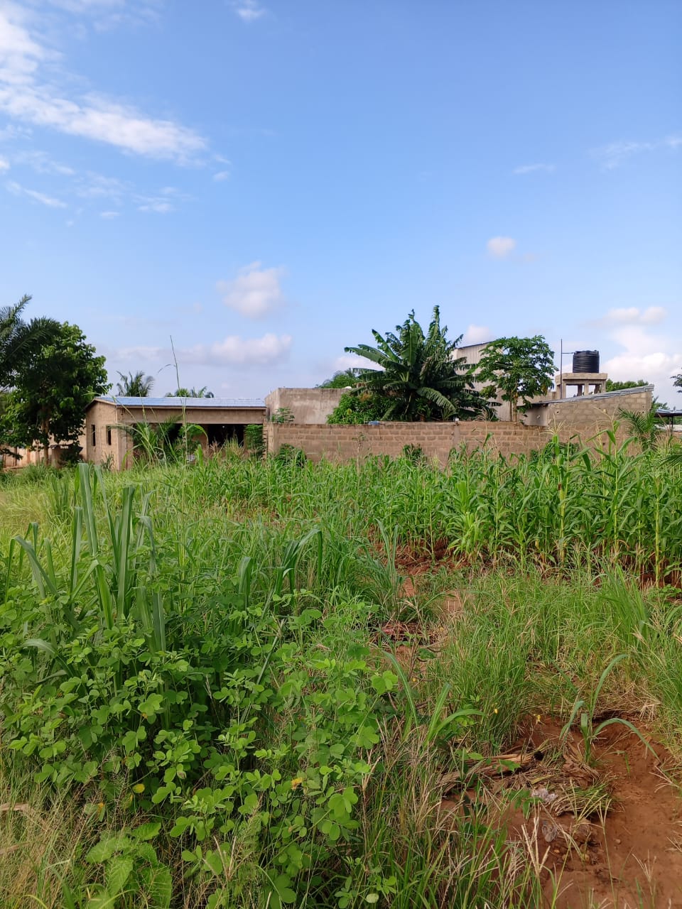 Terrain 2 lots en vente à Apessito Gbezetsan – 13 millions FCFA le lot