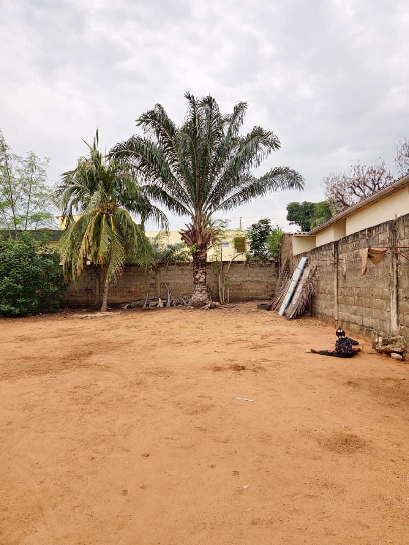Maison 2 pièces sur 1 lot en vente à Agoè Aŋomé – à partir de 60 millions FCFA