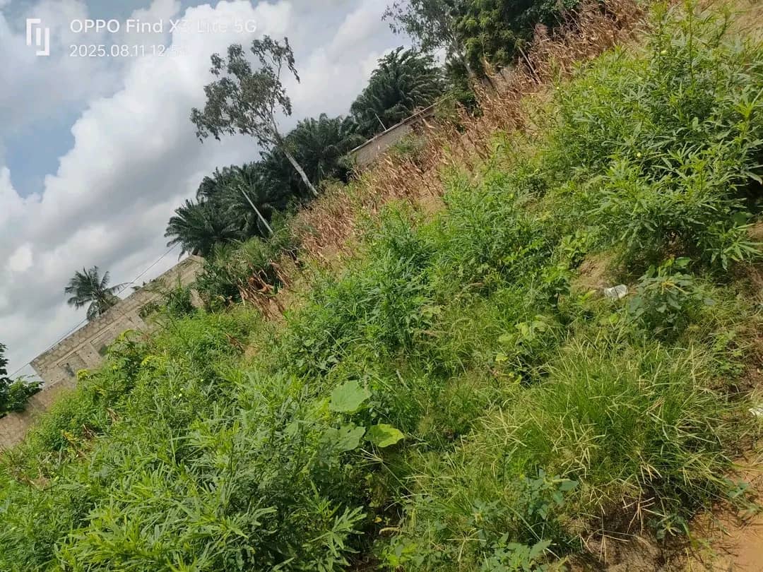 Demi lot en vente en angle de rue à Agoè Sogbossito – 11 millions FCFA