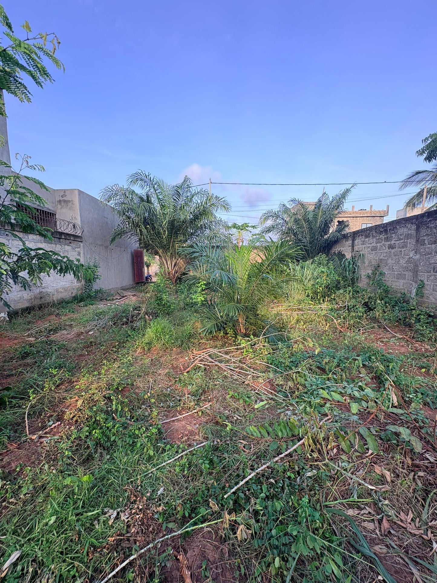 Terrain d'un demi lot en vente à Zanguera – 13 millions FCFA