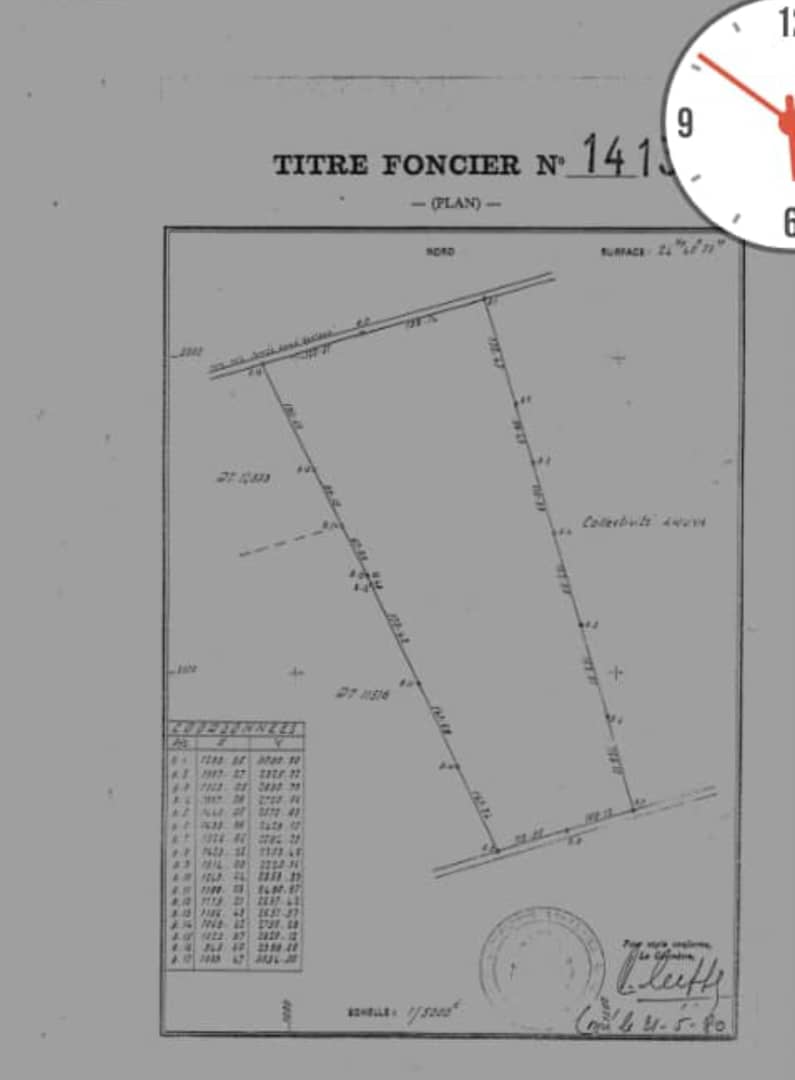 Terrain de 24 hectares en vente à Gilgal – 2,5 millions FCFA l'hectare