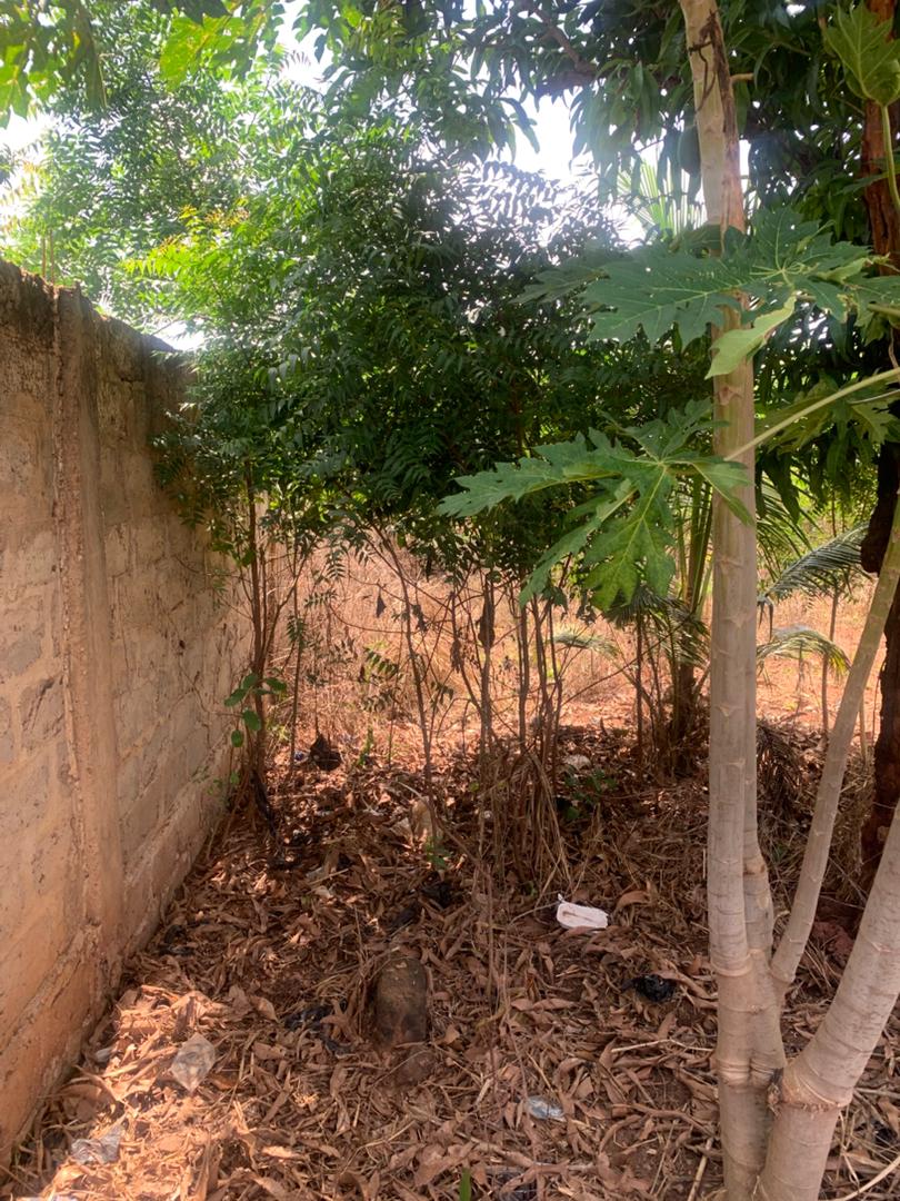 Terrain de 300 m² en vente à Ségbé Zanvi – 9,5 millions FCFA