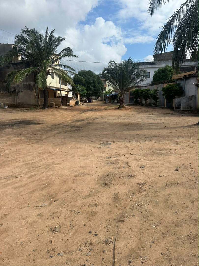 Terrain de 300 m² en vente à Léo 2000 derrière école la volonté – 25 millions FCFA