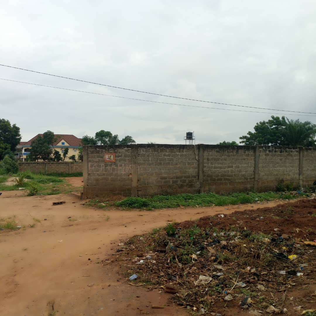Terrain de 2 lots en vente en angle de rue à Amadahomé près du carrefour Aised – 35 millions FCFA