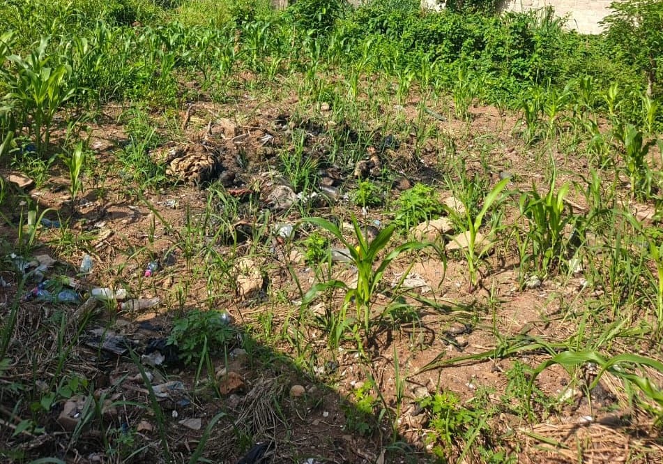 Terrain de 600 m² en vente à Adidogomé Akato Avoémé – 16 millions FCFA