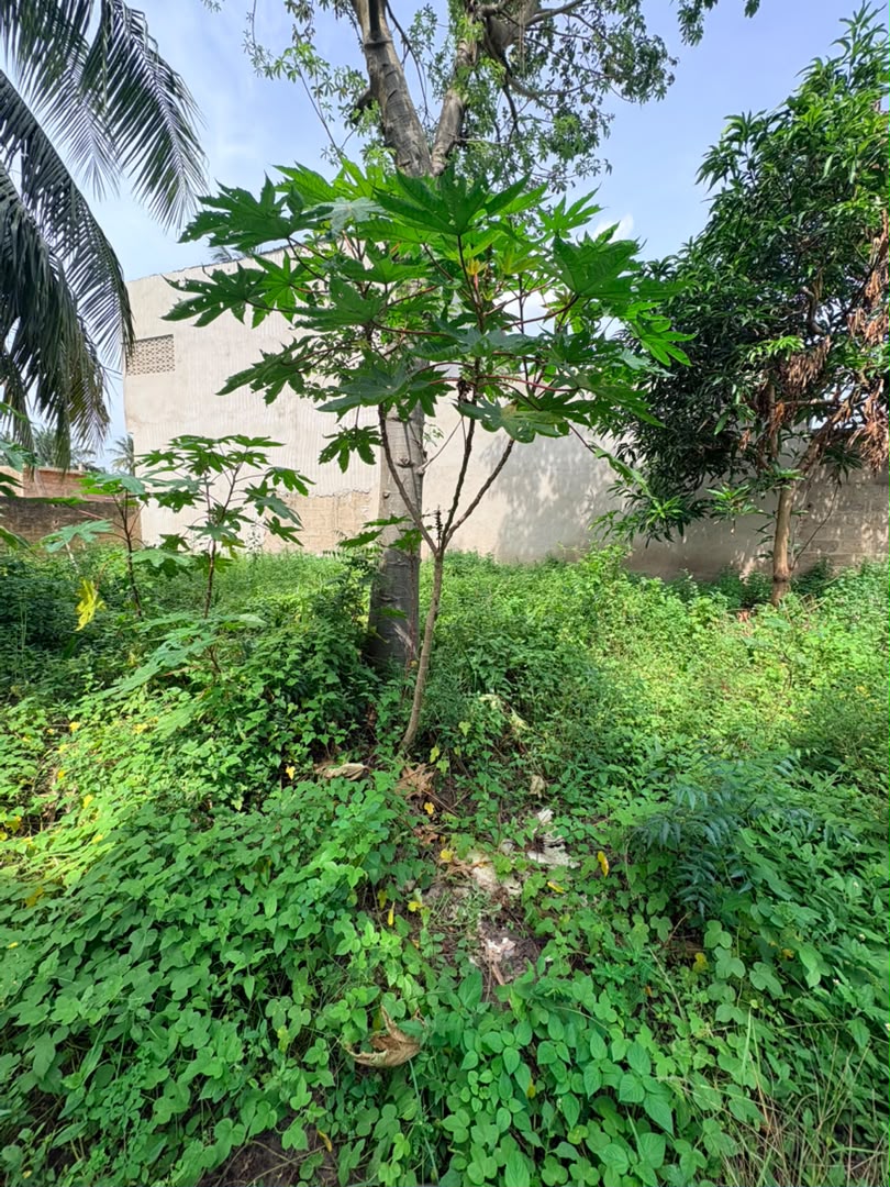 Terrain en vente à Sogbossito – 20 millions FCFA