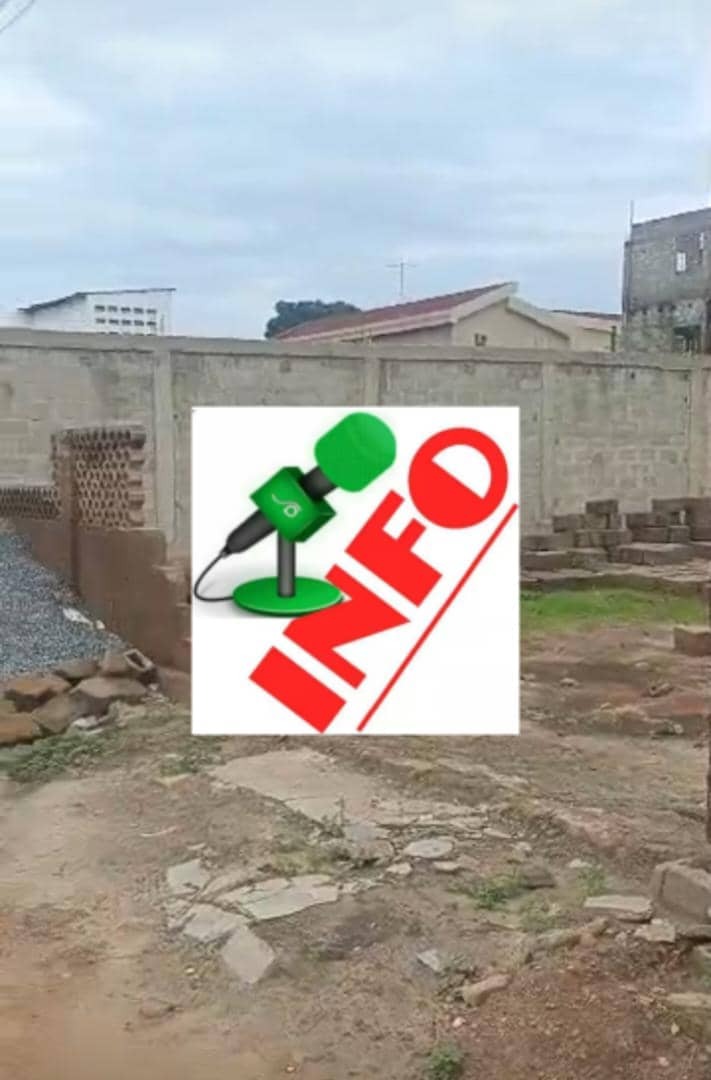 Terrain en vente à Adéwui en angle de rue – 50 millions FCFA