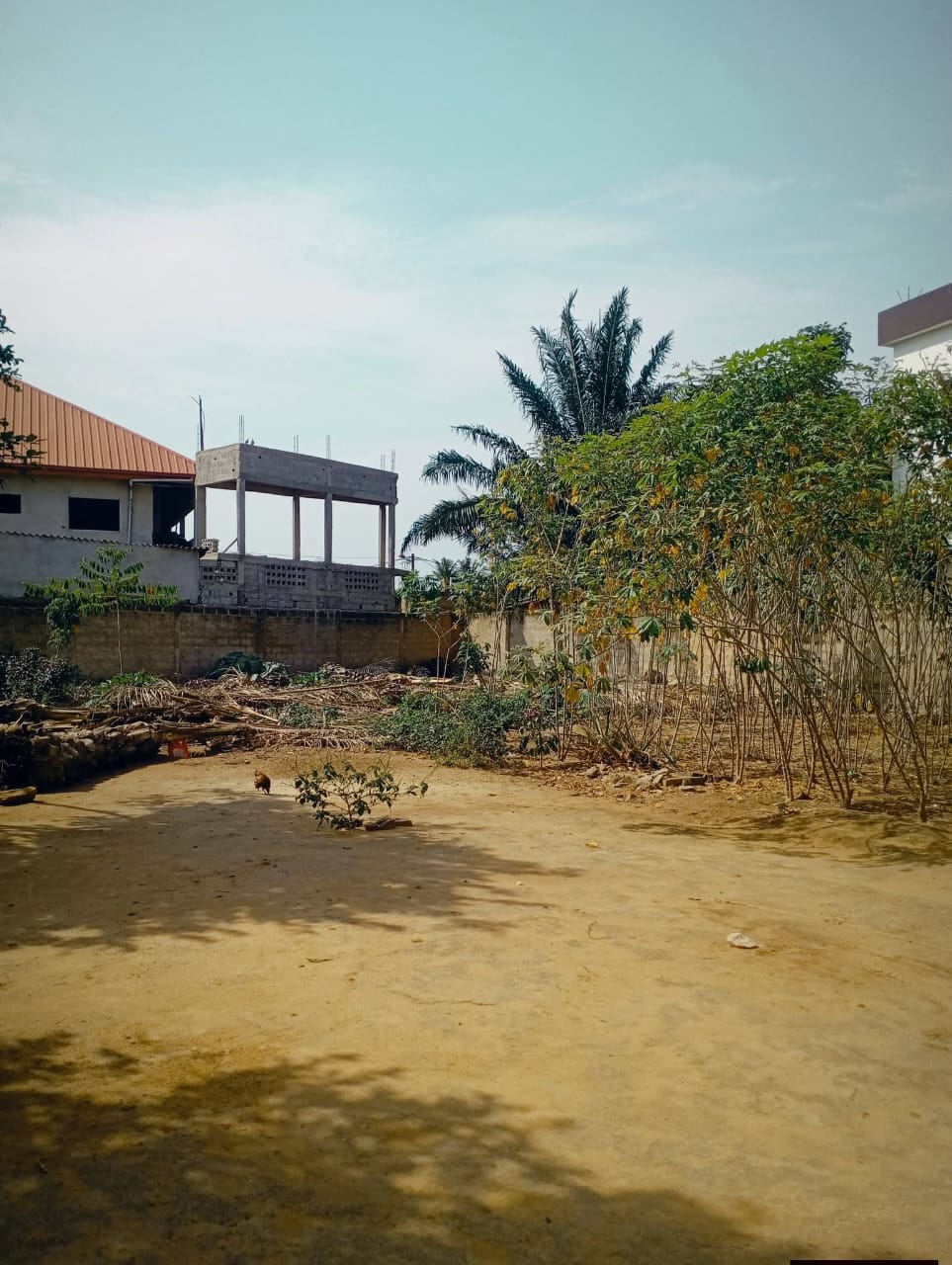 Terrain clôturé de 600 m² en vente à Avedji – 35 000 000 FCFA