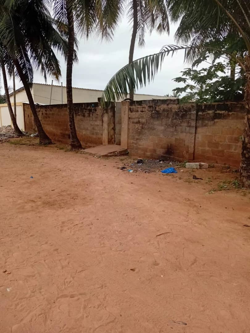 Terrain de 300 m² en vente à Avédji Coconut, à 120m du goudron – 25 millions FCFA