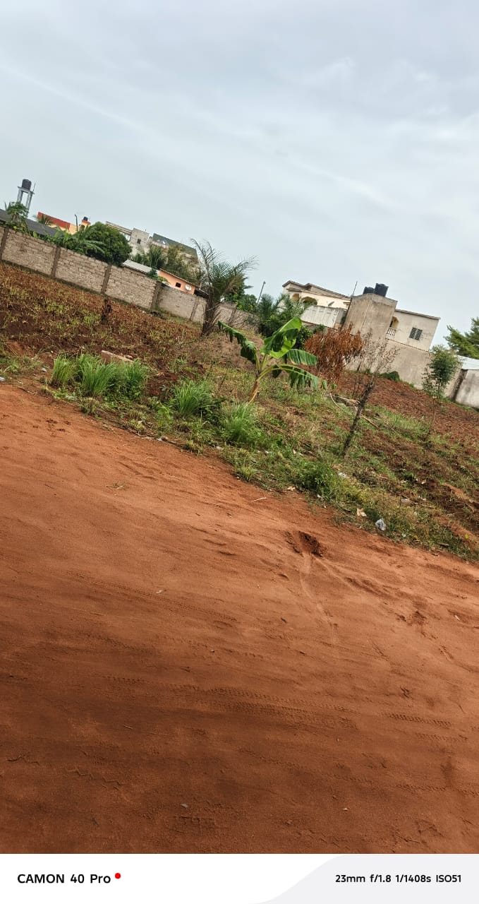 Terrain de 1 lot et 1/4 à Agoè Legbassito Avinato en vente – 30 millions FCFA