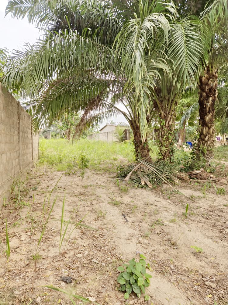 Terrain d'un lot en vente à Adewui au bord du goudron – 130 millions FCFA