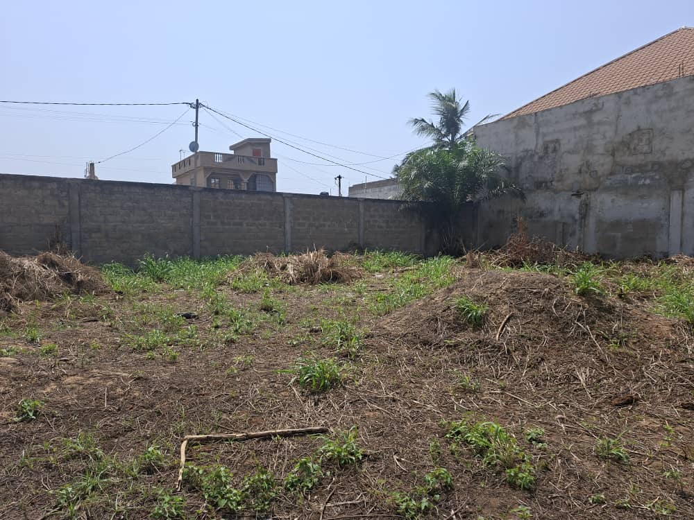 Terrain de 987 m² en vente à Attiégou – 70 millions FCFA