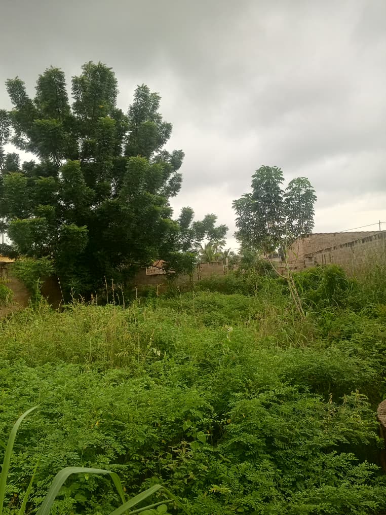 Terrain de 300 m² à vendre à Kloblatemé – 9 millions FCFA