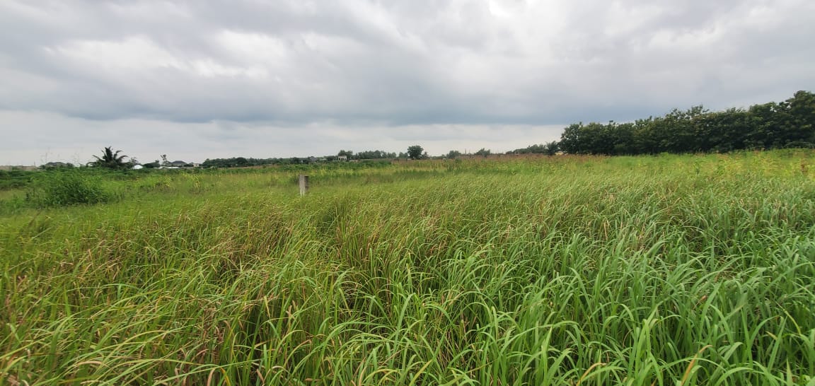 Terrain de 6000 m² en vente à Aképé – 15 millions FCFA le lot