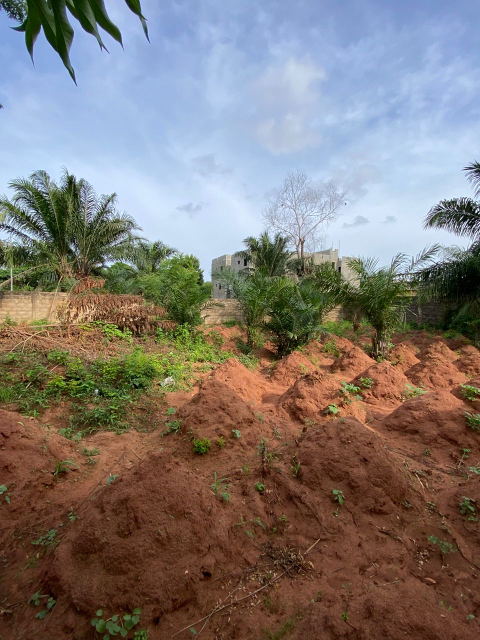 Terrain 1 lot en vente à Agoè Sogbossito – 33 millions FCFA