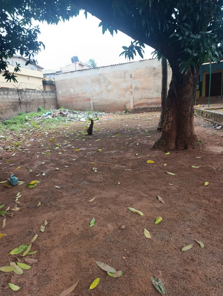Terrain en vente en bord du goudron à Agoè Assiyéyé – 60 000 000 FCFA