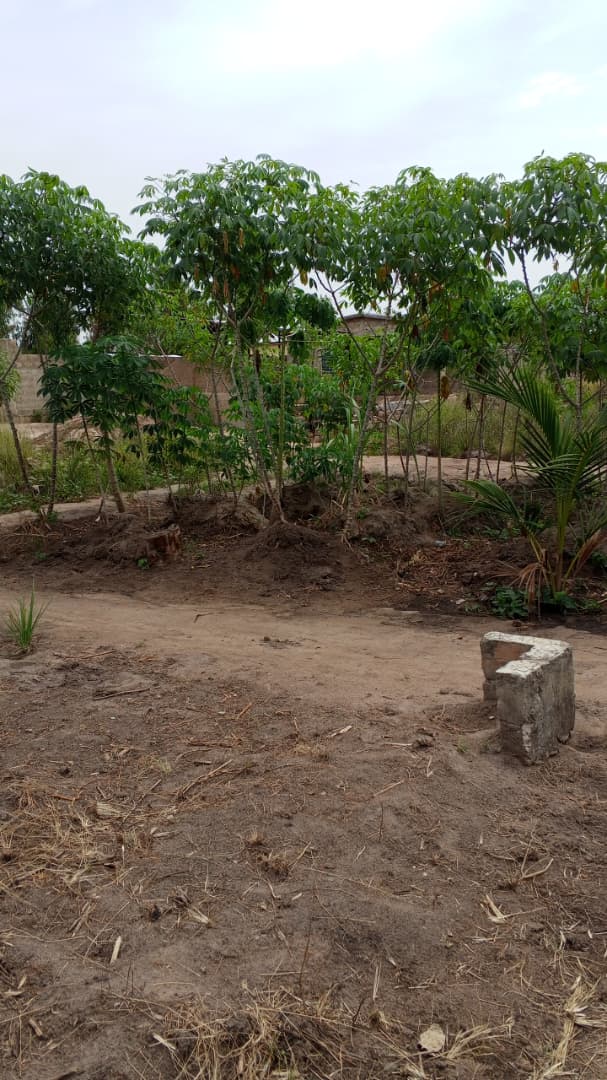 Terrain de 600 m² en vente à Dalavé - 5 millions FCFA