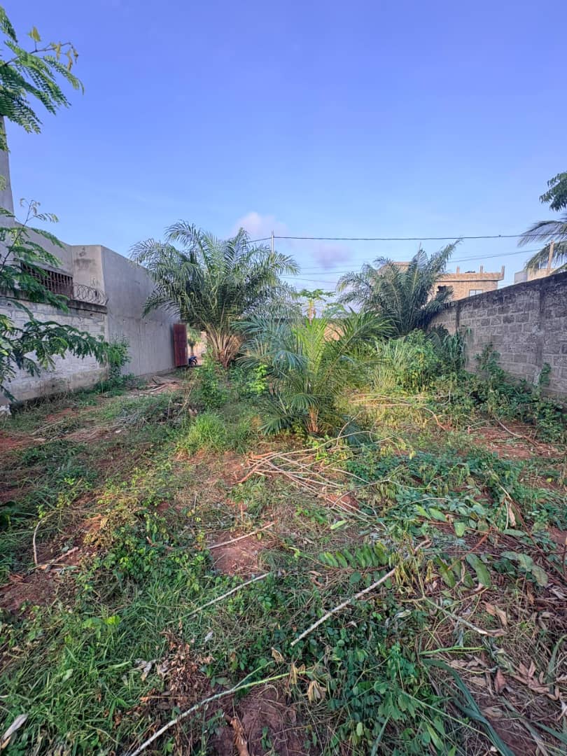 Terrain d'un demi lot clôturé en vente à Zanguera Gatokopé – 15.000.000 FCFA