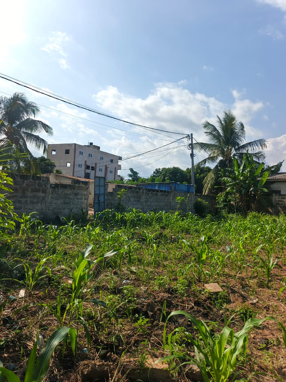 Terrain de 397 m² en vente à Zanguera – 25 millions FCFA