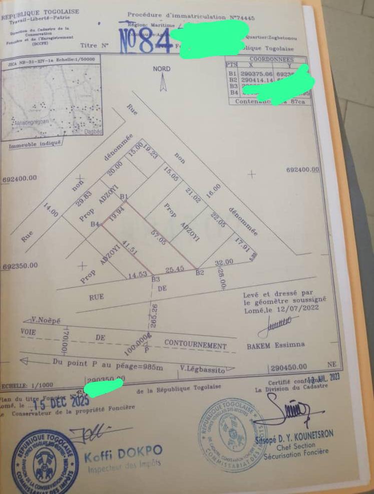 Terrain de 1,5 lot en vente à Zanguéra – 27 millions FCFA