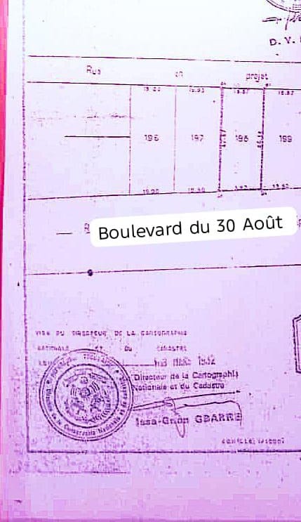 Terrain de 450 m² en vente en bordure de goudron à Avénou – 45 millions FCFA