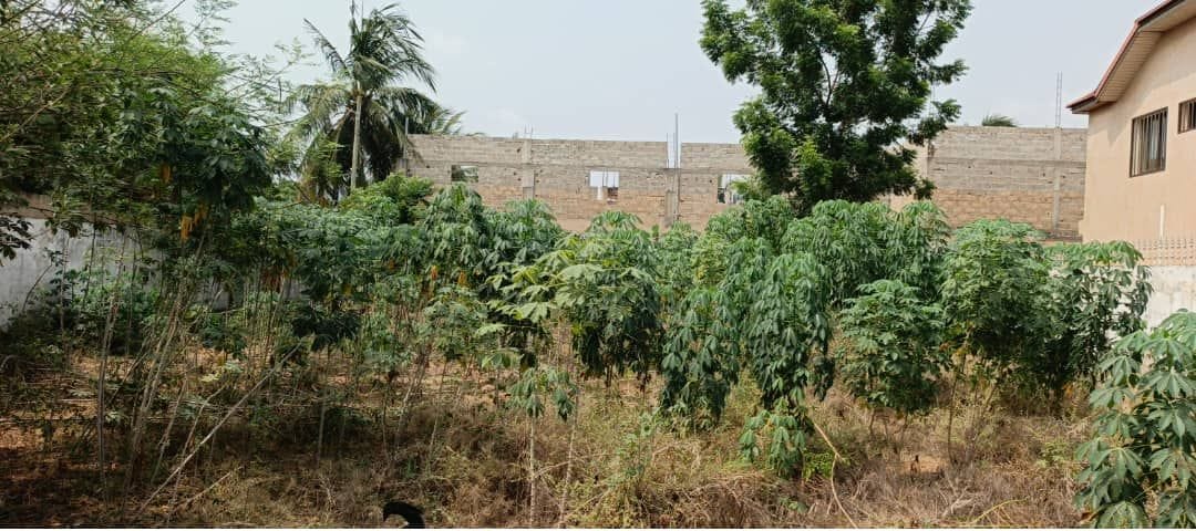 Terrain 1 lot en vente à Adidogomé Avenou, 100 m du goudron – 65 millions FCFA